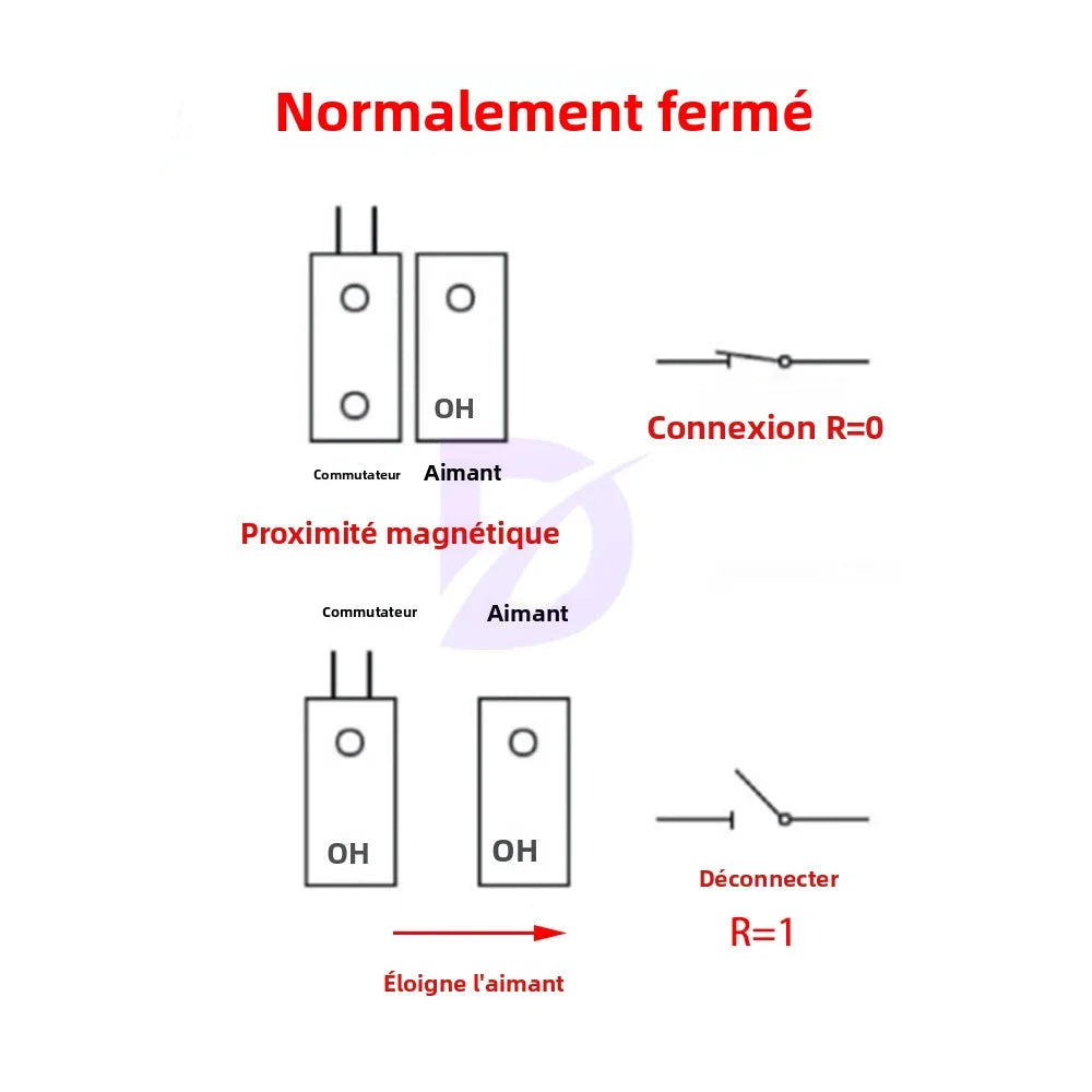 Contacteur de Porte Magnétique Filaire MC-38 — Détecteur Alarme Porte & Fenêtre (1 à 10 pcs) - BLACKBEARD OUTDOOR INDUSTRIES