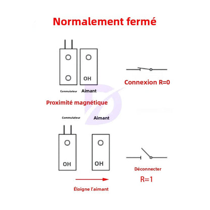 Contacteur de Porte Magnétique Filaire MC-38 — Détecteur Alarme Porte & Fenêtre (1 à 10 pcs) - BLACKBEARD OUTDOOR INDUSTRIES