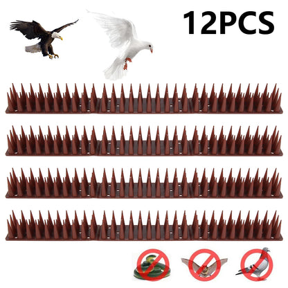 12 Pièces – Pointes Anti-Oiseaux et Anti-Grimpe en Plastique et Acier Inoxydable - BLACKBEARD OUTDOOR INDUSTRIES