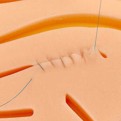 Kit de Pratique de Suture pour Étudiants en Médecine - Formation Chirurgicale avec Simulateur de Peau, Ensemble d'Outils d'Enseignement et Matériel Éducatif - BLACKBEARD OUTDOOR INDUSTRIES
