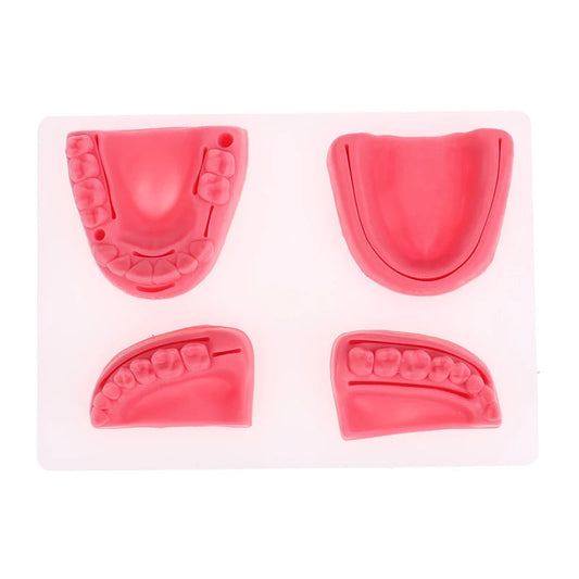 Kit 4pcs Modèles de Suture Buccale Simulation Dentaire – Formation et Entraînement en Suture Gingivale Ma boutique