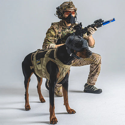 Casque tactique K9 pour chien avec lunettes protection - BLACKBEARD OUTDOOR INDUSTRIES