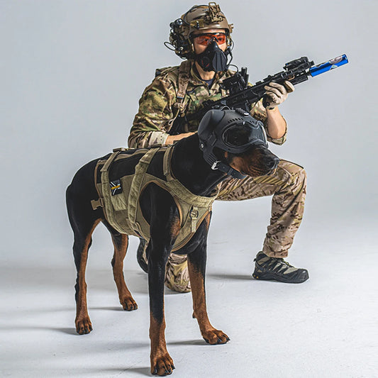 Casque tactique K9 pour chien avec lunettes protection - BLACKBEARD OUTDOOR INDUSTRIES