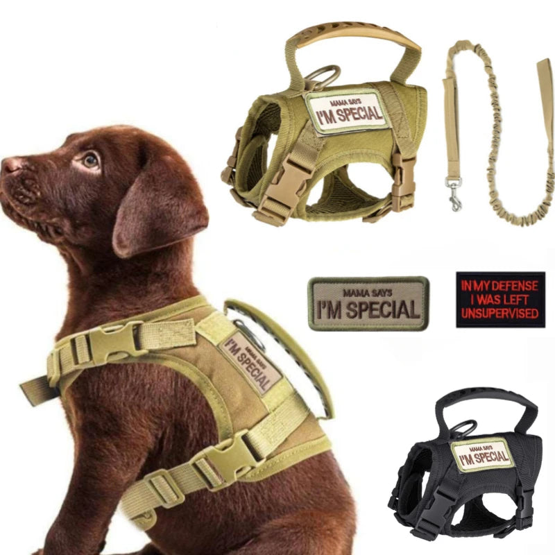 Harnais Chien Petit – Gilet Tactique Nylon avec Laisse, Chiot & Chat
