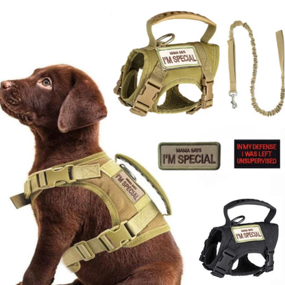 Harnais Chien Petit – Gilet Tactique Nylon avec Laisse, Chiot & Chat