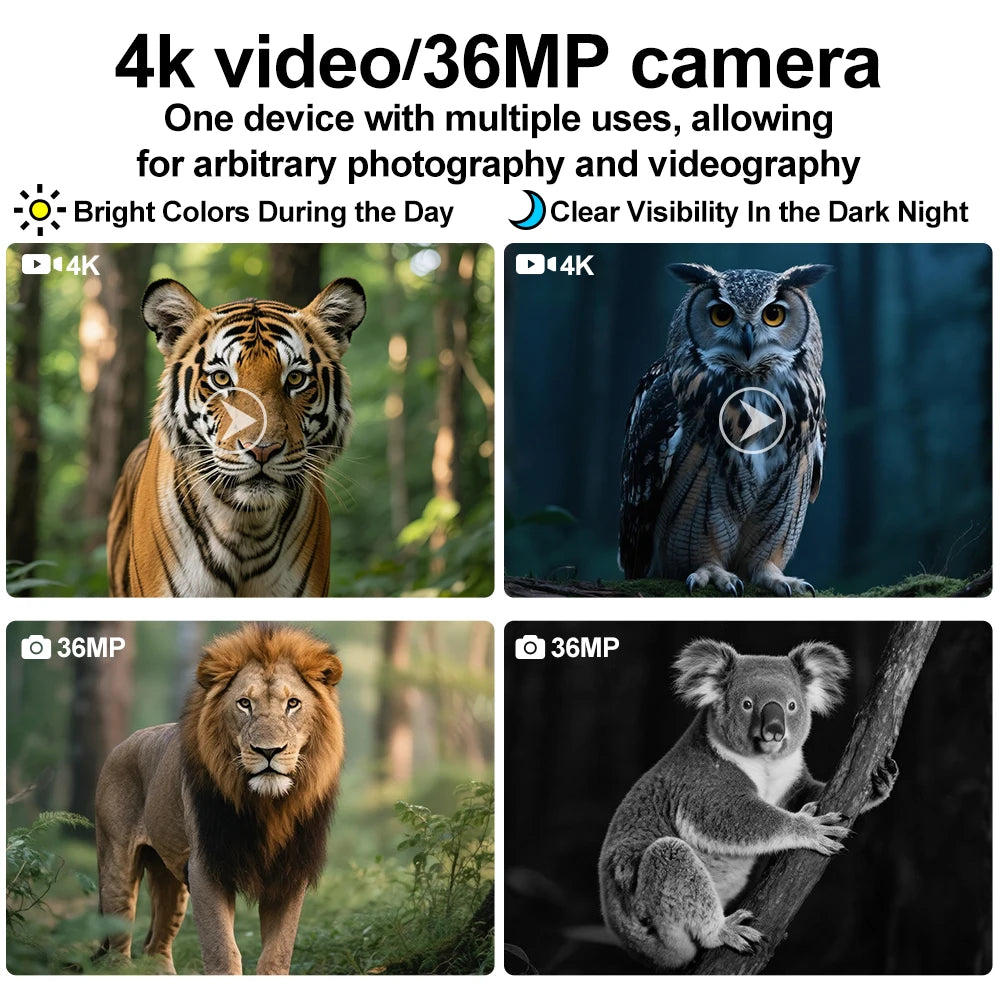 Monoculaire Vision Nocturne 4K IR 8x – Frontal, 36 MP, IP54, Infrarouge 850nm