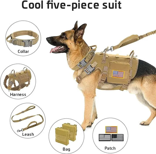 Harnais Tactique Grand Chien – Kit Complet Collier + Laisse + Poches MOLLE