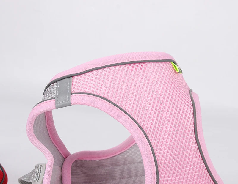 Ensemble Harnais et Laisse pour Petit Chien ou Chat – Harnais Réglable en Maille Respirante avec Liseré Réfléchissant Ma boutique