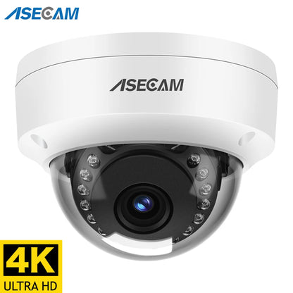 Caméra IP POE 8MP 4K Dôme Extérieure — ASECAM Sony CMOS IP66 H.265 - BLACKBEARD OUTDOOR INDUSTRIES