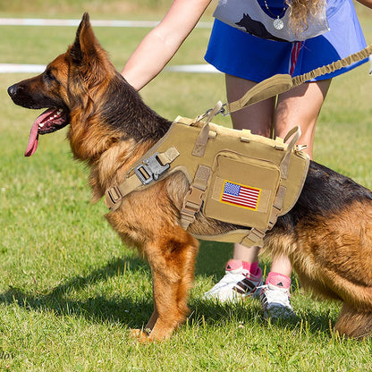 Harnais Tactique Grand Chien – Kit Complet Collier + Laisse + Poches MOLLE