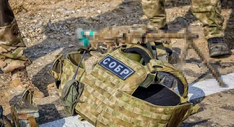 Patch de dos Tactical - Gilet de la Garde Nationale Russe (Avec Crochets et Boucles) BLACKBEARD OUTDOOR INDUSTRIES