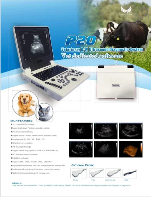 Scanner Ultrason 12 Pouces Portable – Sonde Noir et Blanc échographie (Langue Portugaise) - BLACKBEARD OUTDOOR INDUSTRIES