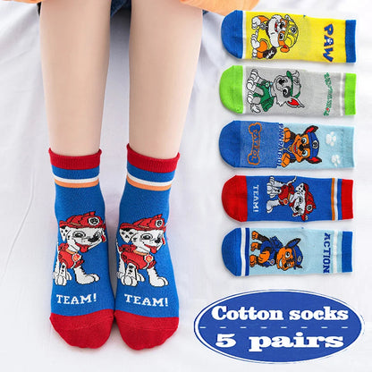 5 paires chaussettes paw patrol enfants 3/6ans Ma boutique