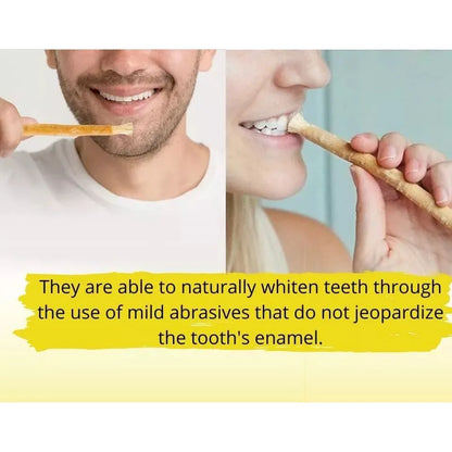 Miswak Sewak Stick – Brosse à Dents Naturelle Traditionnelle 10 PCS - BLACKBEARD OUTDOOR INDUSTRIES