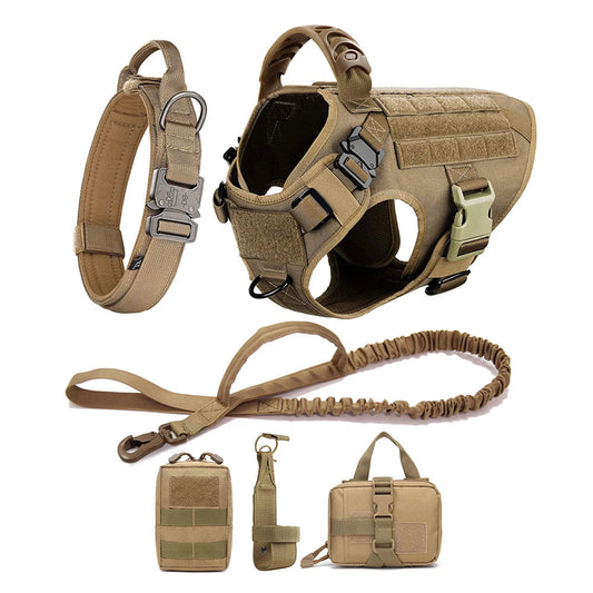 Harnais Tactique PETRAVEL pour Grand Chien – Ensemble Harnais + Collier + Laisse avec Système MOLLE Ma boutique
