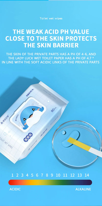80pcs / 160pcs Wet Toilet Paper – Flushable Adult Hygiene Care Wipes - BLACKBEARD OUTDOOR INDUSTRIES