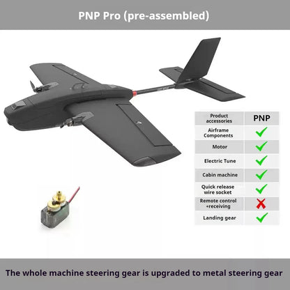 HEEWING Assassin T-1 Professional RC Aircraft Fixed Wing Glider Model EPP Outdoor Assembly Remote Control - BLACKBEARD OUTDOOR INDUSTRIES