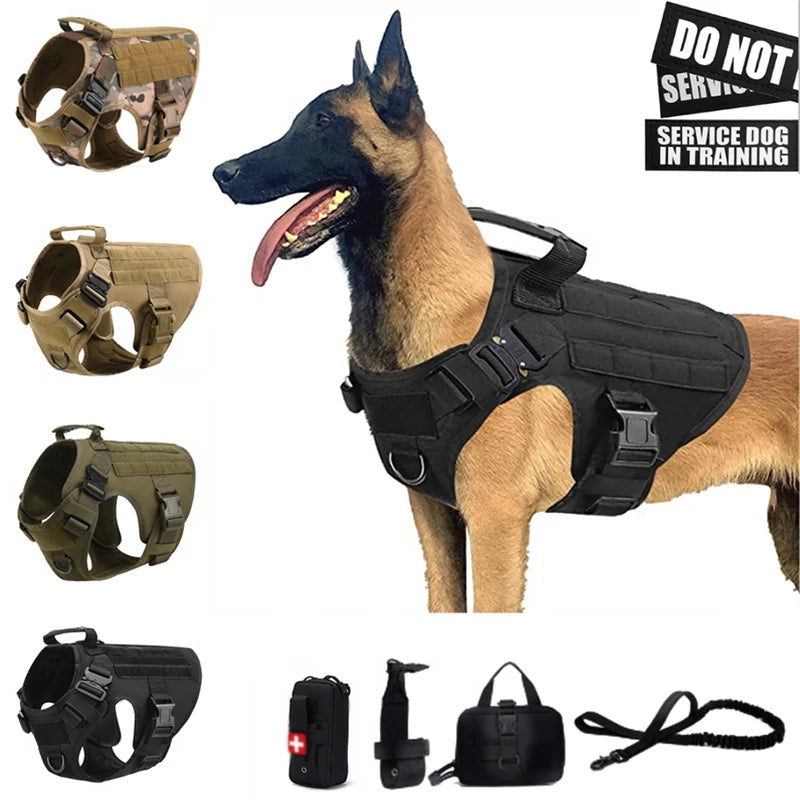 Harnais Tactique Militaire pour Chien – COOYOMOO Ma boutique