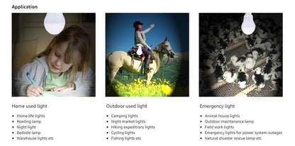 Lampe Solaire Portative à LED - Lampe Rechargeable pour Camping, Tente, Pêche Nocturne, Urgence et Énergie Solaire - BLACKBEARD OUTDOOR INDUSTRIES