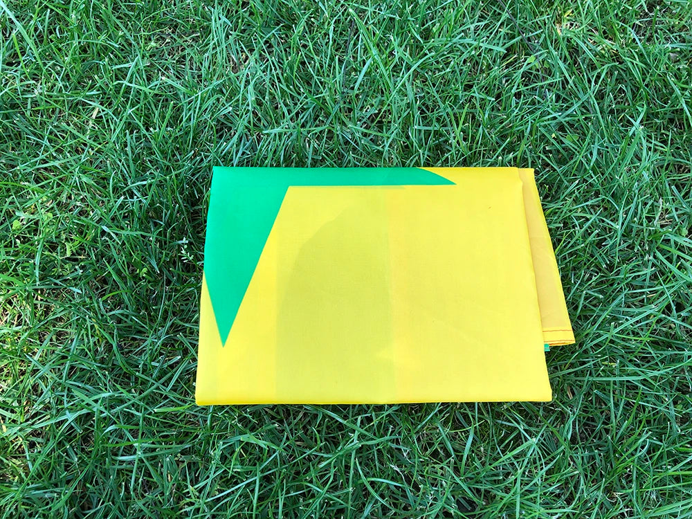 Drapeau du Sénégal 90x150 cm – Bannière en Polyester pour Décoration (Intérieur et Extérieur) BLACKBEARD OUTDOOR INDUSTRIES