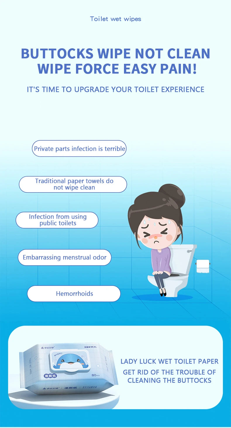 80pcs / 160pcs Wet Toilet Paper – Flushable Adult Hygiene Care Wipes - BLACKBEARD OUTDOOR INDUSTRIES